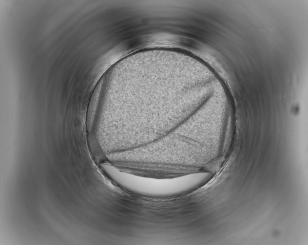 X0000098221337200805221640