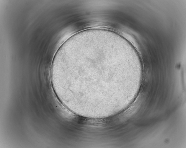 X0000098221338200805221640