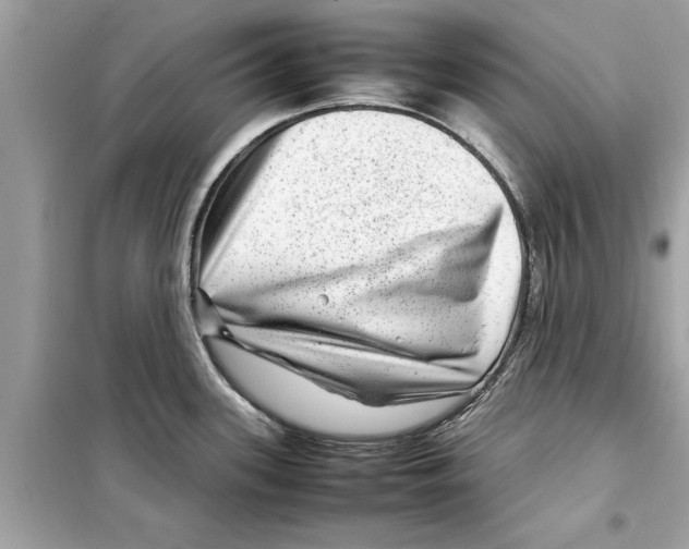 X0000098221339200805221640