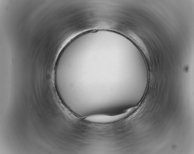 X0000098221340200805221640