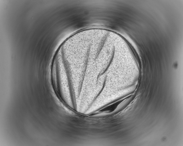 X0000098221341200805221640