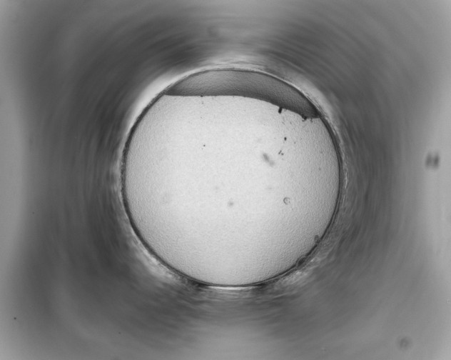 X0000098221344200805221640