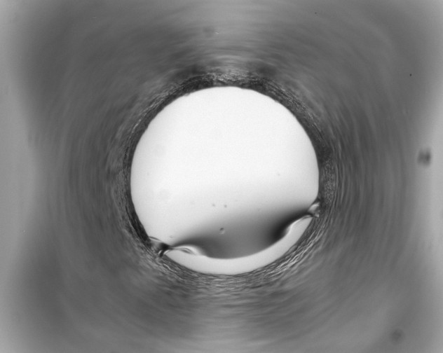 X0000098221345200805221639