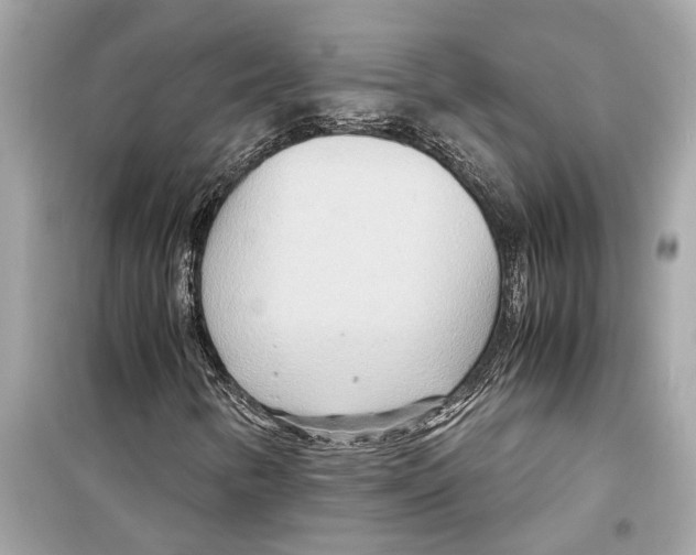 X0000098221346200805221639