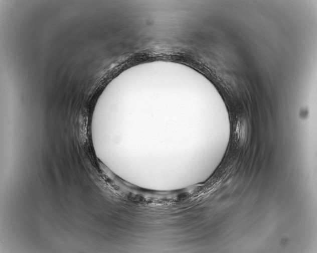 X0000098221348200805221639