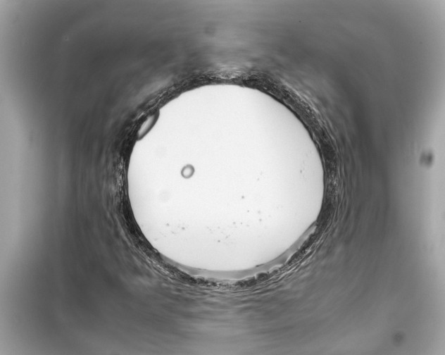 X0000098221349200805221639