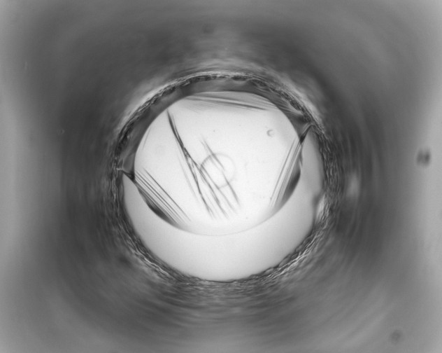 X0000098221352200805221639