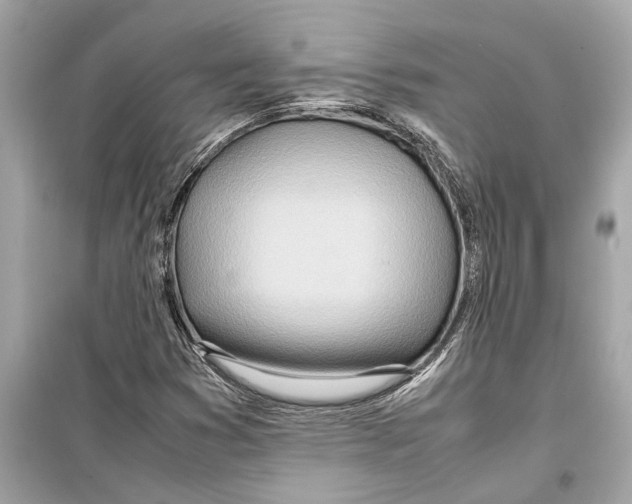 X0000098221353200805221639