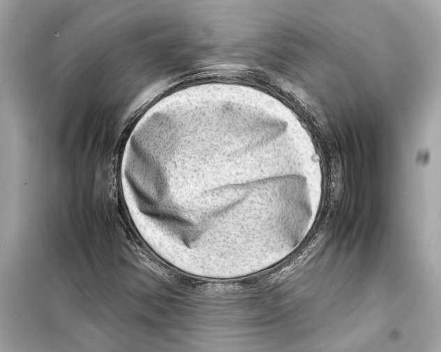 X0000098221354200805221639