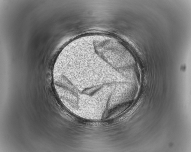 X0000098221355200805221639