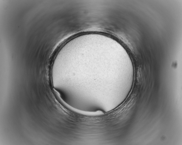 X0000098221356200805221639