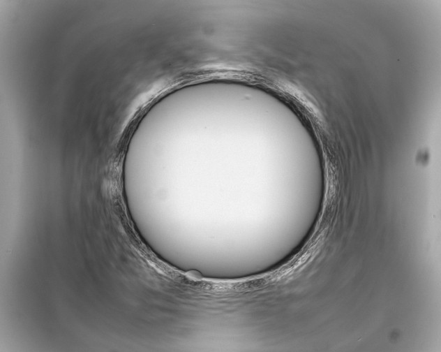 X0000098221357200805221639