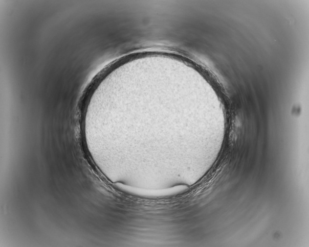 X0000098221360200805221639