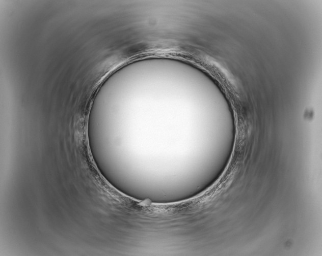 X0000098221361200805221639