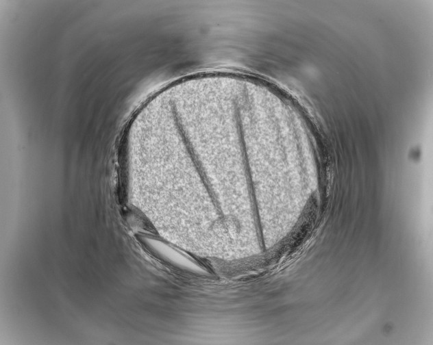 X0000098221363200805221639