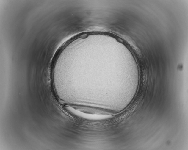 X0000098221364200805221639