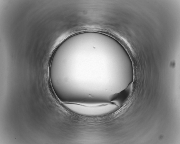 X0000098221365200805221639