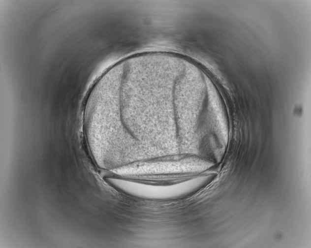 X0000098221366200805221639