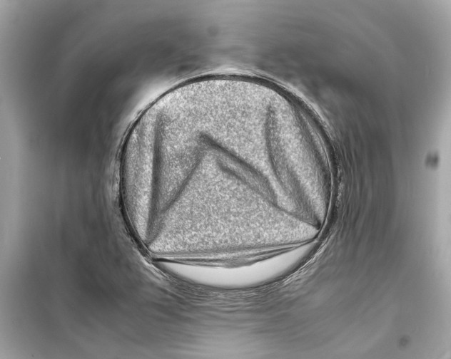 X0000098221367200805221639