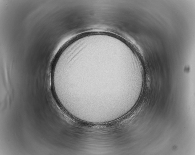 X0000098221368200805221639