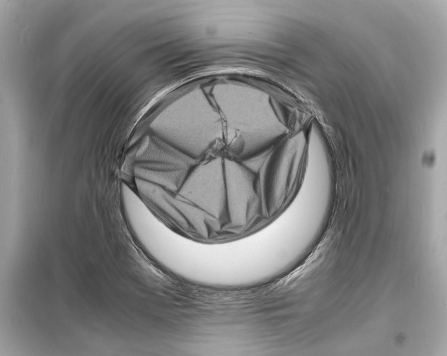 X0000098221369200805221639