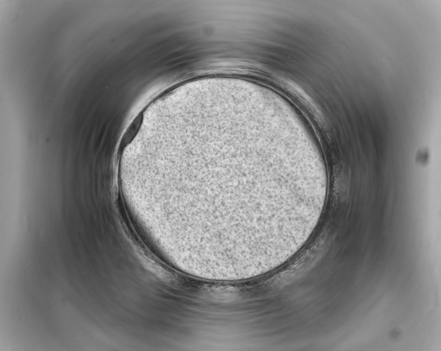 X0000098221370200805221639