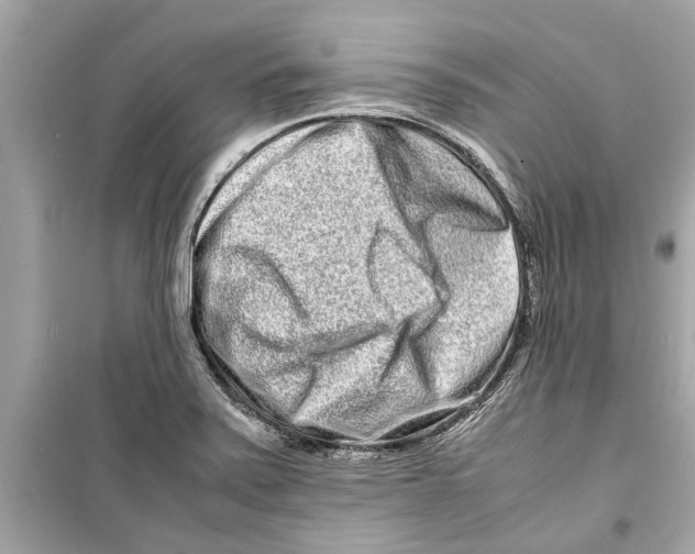 X0000098221371200805221639