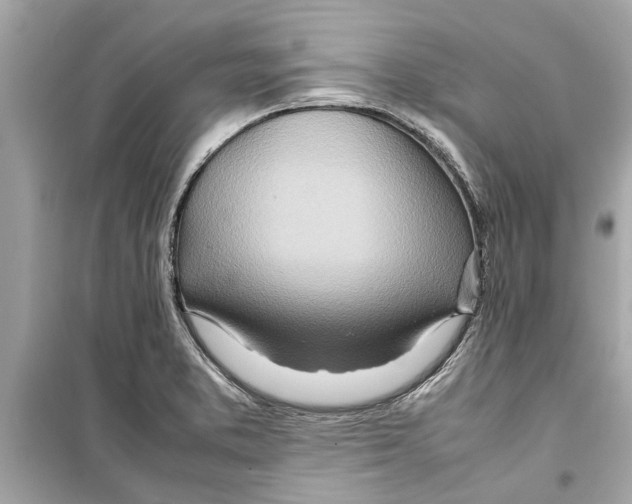 X0000098221373200805221639