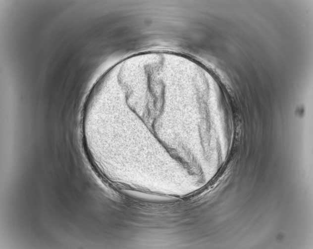 X0000098221375200805221639