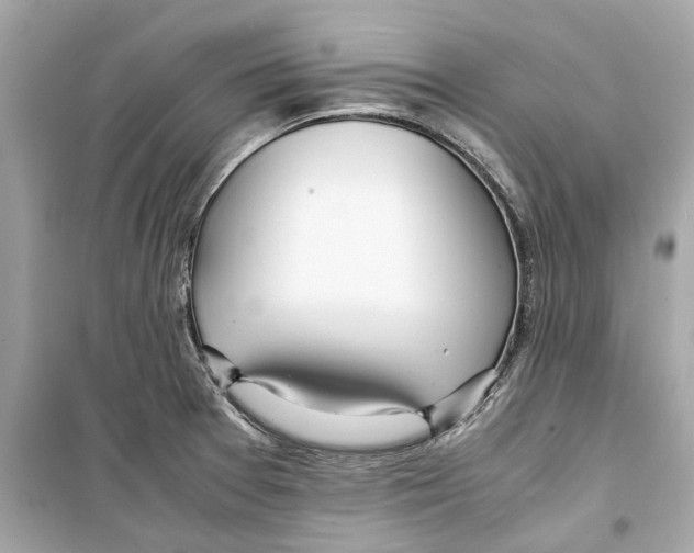 X0000098221377200805221639