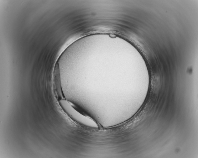 X0000098221378200805221639