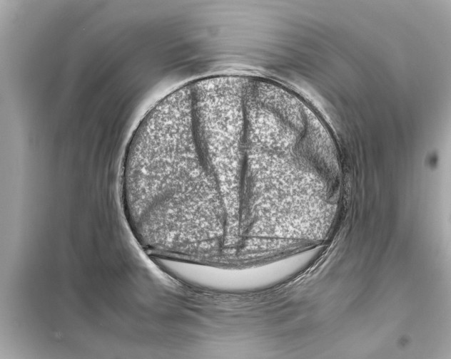 X0000098221379200805221639