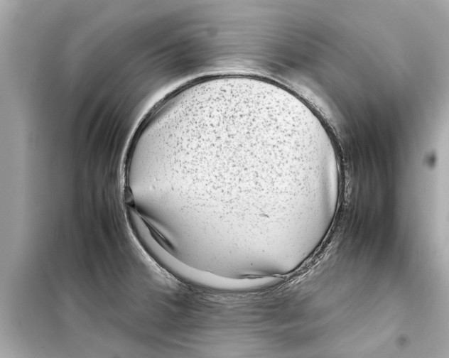 X0000098221380200805221639