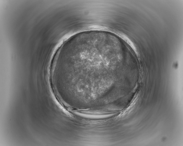 X0000098221381200805221639