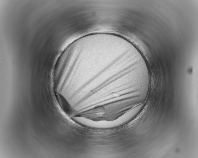 X0000098221382200805221639