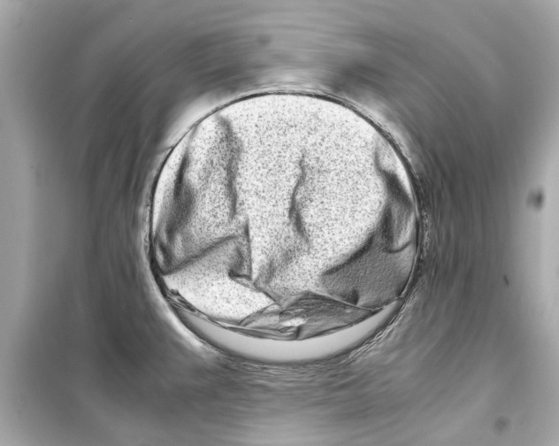 X0000098221383200805221639