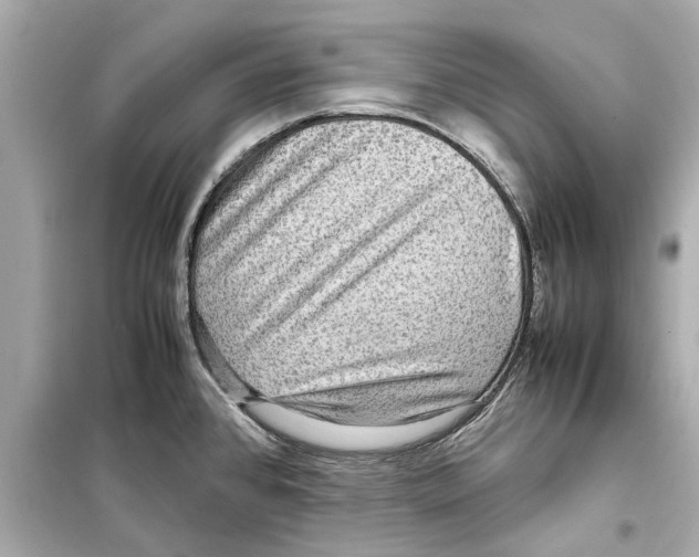 X0000098221384200805221639