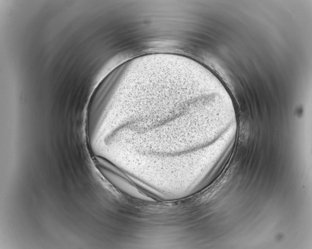 X0000098221386200805221639