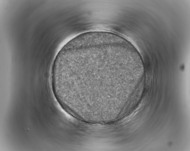 X0000098221387200805221639