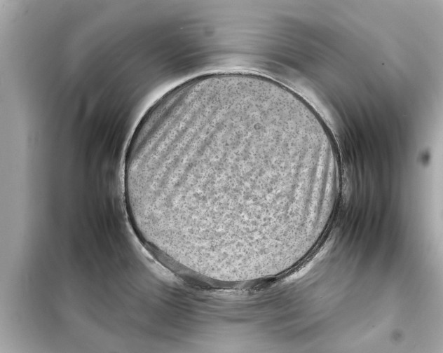 X0000098221388200805221639