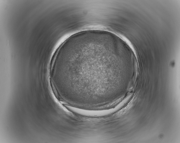 X0000098221389200805221639