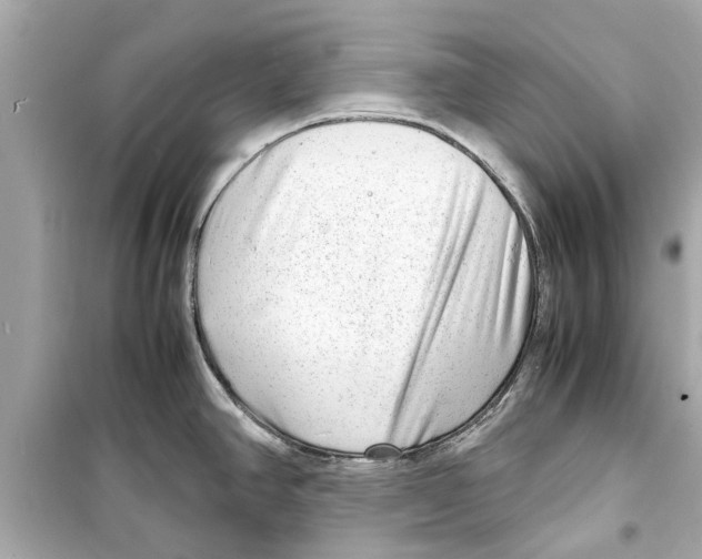 X0000098221390200805221639