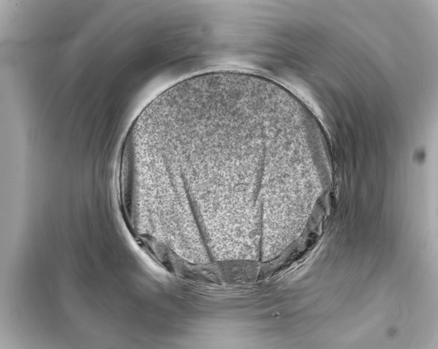 X0000098221391200805221639