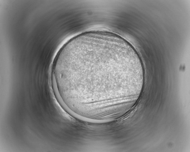 X0000098221392200805221639