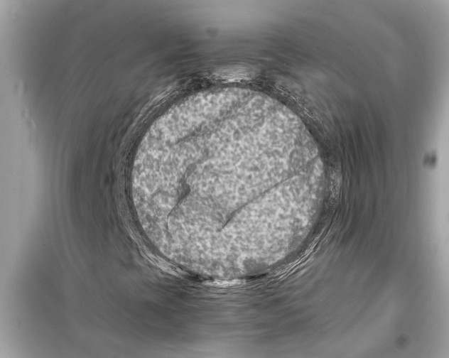 X0000098221393200805221638