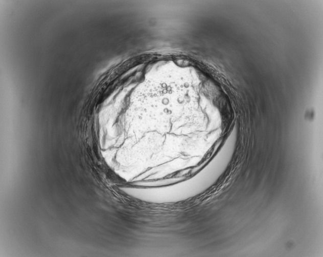 X0000098221398200805221638