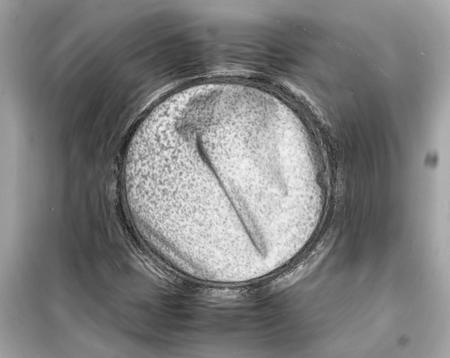 X0000098221401200805221638