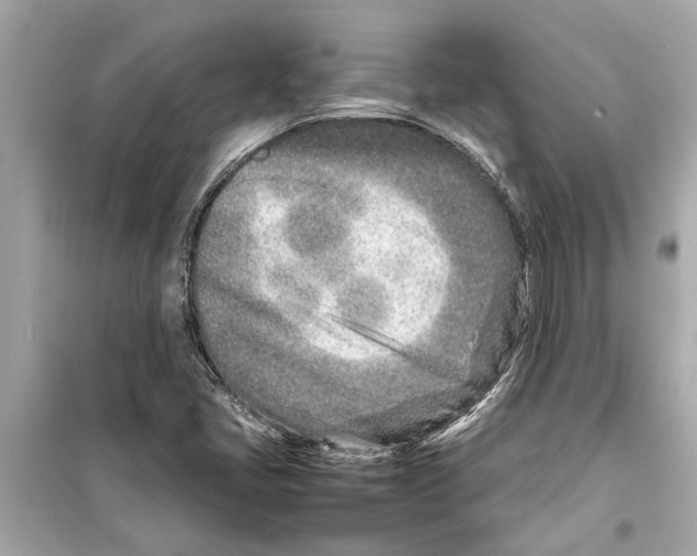 X0000098221405200805221638