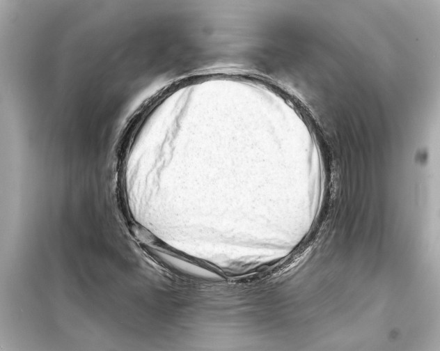 X0000098221406200805221638