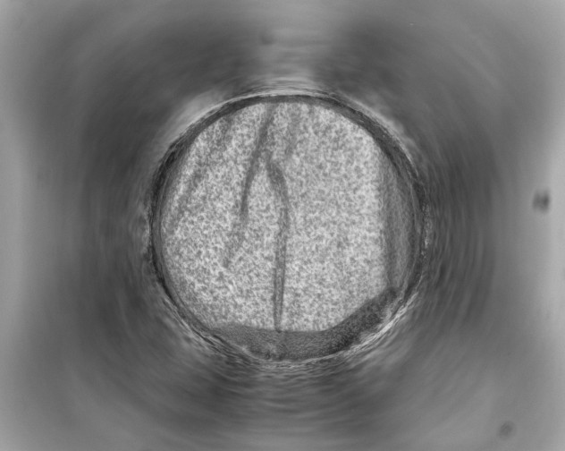 X0000098221407200805221638